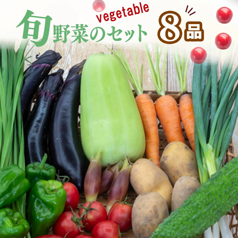 【ふるさと納税】 野菜 8 品目 | お楽しみ やさい セット 旬 春 夏 秋 冬 採れたて 新鮮 農家 直送 詰め合わせ 国産 季節 フレッシュ きゅうり ピーマン なす トマト 大根 白菜 高知県 須崎市 ふるさと納税野菜 ME062_x