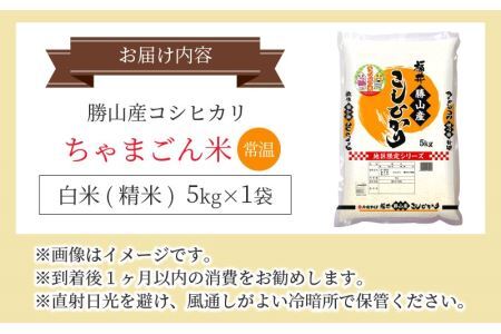 令和5年産　勝山産コシヒカリ　ちゃまごん米　5kg　精米 [A-010001]