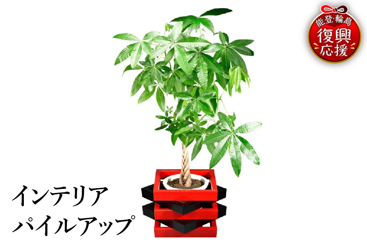 
            輪島塗　インテリア　パイルアップ
          
