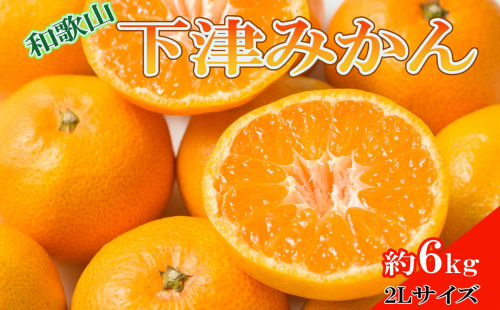 【産直・秀品】和歌山下津みかん 約6kg（2Lサイズ）