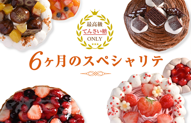 6ヶ月のスペシャリテ 定期便 合計6回【2ヶ月に１回配送 洋菓子 スイーツ おやつ てんさい糖 冷凍 大阪 泉佐野 大阪府 泉佐野市】