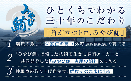 本マグロ 大賞受賞 みやび鮪 中トロ 計約1kg (約10～11人前) ／ 小分け トロ 霜降り ブロック クロマグロ 鮪 まぐろ さく マグロ 柵 刺し身 刺身 国産 本まぐろ 本鮪 中とろ 冷凍 