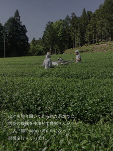 白川茶を3種飲み比べ！ 白川茶 詰め合わせセット お茶 煎茶 緑茶 日本茶 茶葉 贈答 ギフト プレゼント 12000円