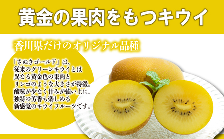 先行予約 キウイ 約3kg キウイフルーツ ゴールドキウイ さぬきゴールドキウイ 10月下旬～12月中旬 配送 家庭用 贈答用 ギフト プレゼント 香川県 丸亀市