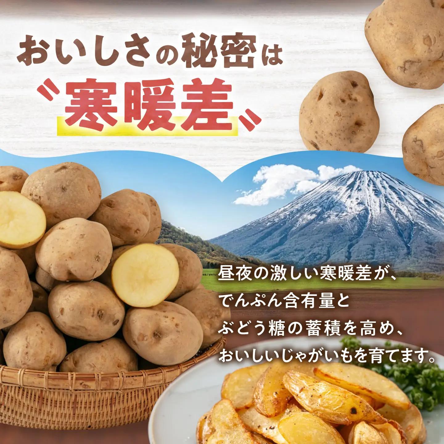 【全3回定期便】【10月〜12月発送】キタアカリ 10kg [AJAK019] じゃがいも 
