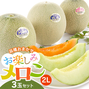 【令和8年産先行予約】 お楽しみメロン 3玉セット 2Lサイズ 山形県庄内産 アンデスメロン・鶴姫メロン・鶴姫レッドメロン の中から3玉お届け 食べ比べ　JA鶴岡 K-836　| メロン めろん フルーツ 果物 くだもの 夏 旬 デザート 産地直送 山形 鶴岡 庄内 東北 人気 おすすめ 美味しい 国産 お取り寄せ 返礼品