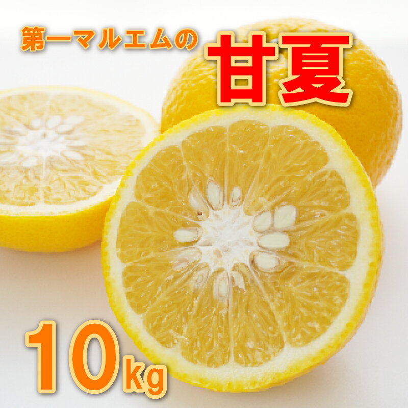 【ふるさと納税】 甘夏 10kg 10000円 みかん mikan 蜜柑 ミカン あまなつ 産地直送 国産 農家直送 期間限定 数量限定 特産品 ゼリー ジュース アイス 冷凍 みかん 等に 人気 甘い フルーツ 果物 柑橘 おいしい ジューシー ビタミン 健康 第一マルエム 愛南町 愛媛県