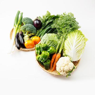 ふるさと納税 藍住町 【旬のお野菜詰め合わせセット6kg】濱くんちのお野菜から旬のお野菜が届くお楽しみBOX |  | 03