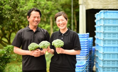 ふくい農園のおいしいブロッコリー8個 野菜 やさい とれたて 甘い 濃い やわかい 新鮮 農家 産地 直送 人気 好評 JGAP 管理 水田 栽培 有機 肥料 おかず 弁当 サラダ 料理