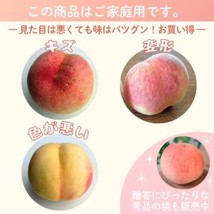桃 白鳳 約4kg 箱 (13～15個) 【訳あり】サイズ不揃い カキエモン農園【BX-kkem030】