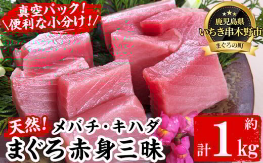 天然!  メバチマグロとキハダマグロ 冷凍 それぞれ 赤身 100g×5  合計約1kg を 便利 な 小分け 柵 でお届け! まぐろ 刺身  めばちまぐろ 赤身 きはだまぐろ 赤身【海鮮まぐろ家】 【B-346H】