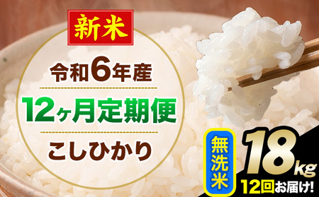 【12ヶ月定期便】令和6年産 新米 定期便 こしひかり 無洗米 定期便 18kg 精米 熊本県産(南阿蘇村産含む)  南阿蘇村《申込み翌月から発送》｜人気米 熊本県産米  生活応援米