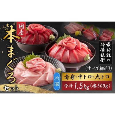 ふるさと納税 福井市 【最新鋭の冷凍技術 刺身用】本まぐろセット大トロ500g+中トロ500g+赤身500g(柵どり)