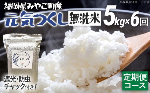 定期便 無洗米 米 令和8年産 無洗米 元気つくし 5kg 6回 定期便 精米 福岡県 みやこ町産 チャック付き チャック 防虫 ごはん おにぎり 福岡 九州 グルメ お取り寄せ