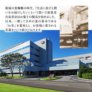 亀田のあられ・おせんべい♪どどーんと 20種類 詰め合わせ 亀田製菓 セット せんべい 煎餅 お菓子 菓子 ハッピーターン サラダホープ ソフトサラダ ぽたぽた焼き 柿の種  無限エビ