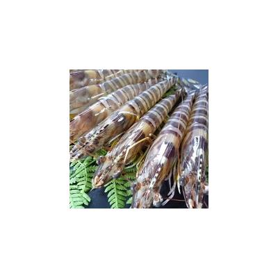 ふるさと納税 山口市 車海老西京漬と活き〆冷凍車海老詰め合わせセット D037 |  | 01