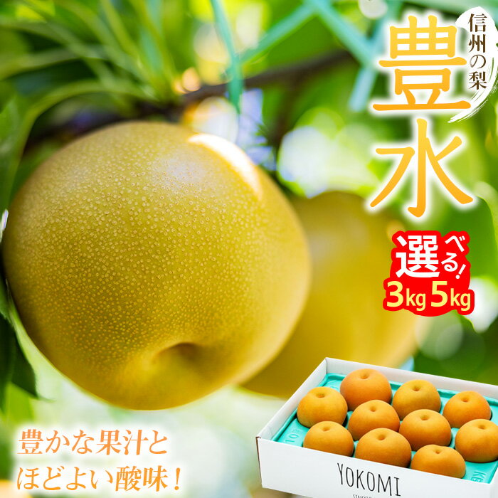 【ふるさと納税】 梨 豊水 3kg 5kg 2025年 令和7年発送分 信州の梨 フルーツ 果物 デザート なし ナシ ほうすい ホウスイ 産地直送 長野県 信州産　 箕輪町 　お届け：2025年9月上旬～9月下旬ごろ