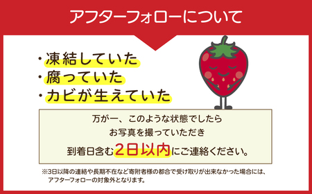 いちご 定期便3回 完熟 とちあいか 大粒 約1080g | イチゴ 大粒 栃木県 茂木町