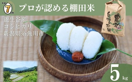 【2026年1月発送】令和7年産新米予約 新潟県能生谷産コシヒカリ 5kg プロも認める棚田米 農家直送 2025年産 JATs有限会社【新潟県 糸魚川市 米 お米 こめ コメ ご飯 ライス ふるさと納税米 ブランド米 おすすめ ギフト 5キロ 精米 白米 人気 食品 選べる配送月 先行予約】