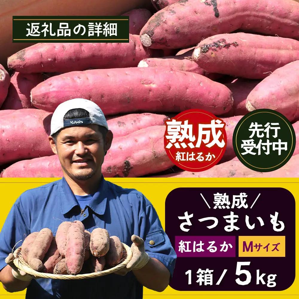 【先行予約：11月下旬配送～】熟成 さつまいも 紅はるか 5kg Mサイズ (おすそ分け袋／美味しい焼き芋の焼き方 説明書付き） FR-214 ｜ 秋の味覚 2026年秋収穫 貯蔵 長期熟成 糖化 さ