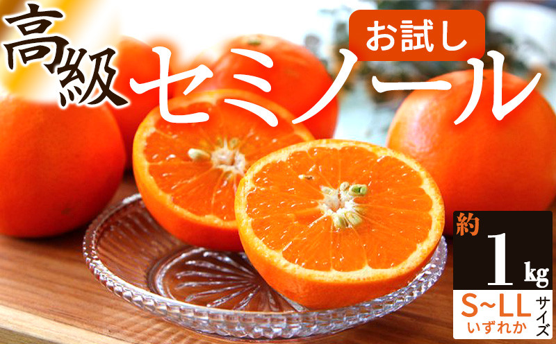 
                  ZS6158_主井農園 高級 セミノール 1kg お試し用
                