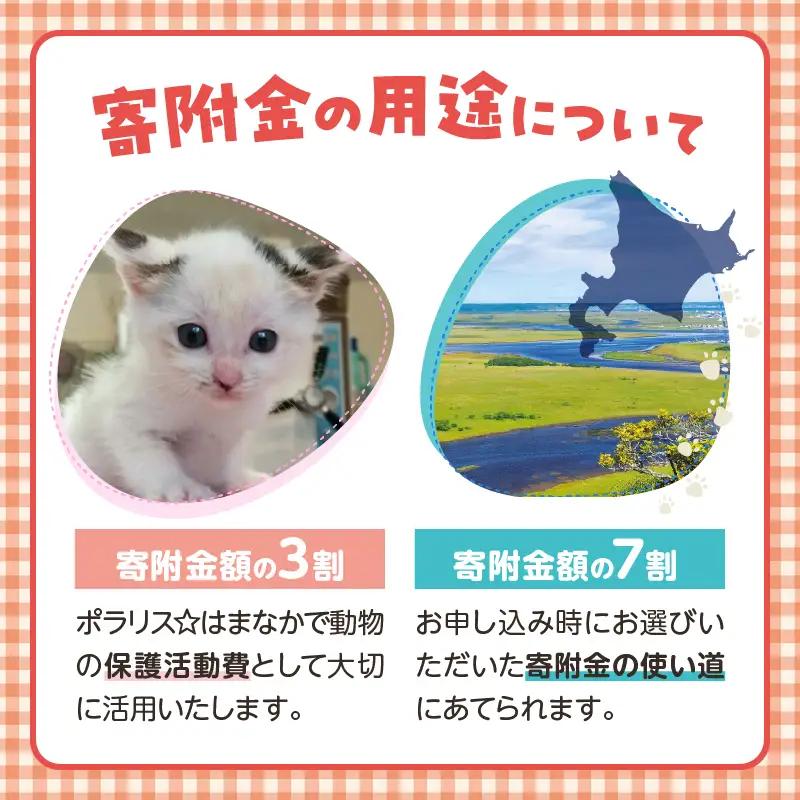 【動物愛護ボランティア】浜中町「ポラリス☆はまなか」を支援　2000円分 返礼品なし_H0048-002