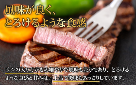 【肉の定期便×6回コース】肉好き大集合！若狭牛 食べ比べ 定期便！【福井のブランド牛肉】【4等級以上】