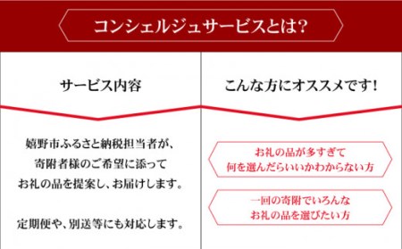コンシェルジュ50万円プラン NZY001 