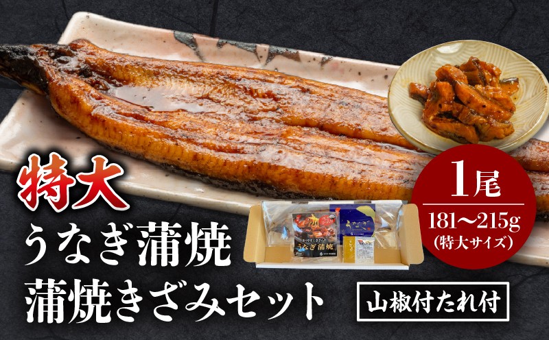 
            【選べる発送月】国産うなぎ蒲焼(特大サイズ)・蒲焼きざみセット_M069-017-SKU
          