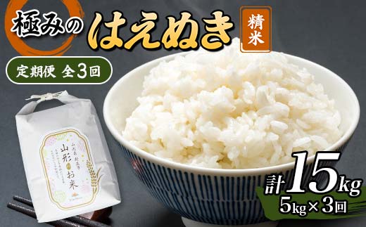【令和8年産米先行予約】(全3回定期便)極みのはえぬき 精米 5kg 米 お米 おこめ ふるさと納税 山形県 新庄市 F3S-2865