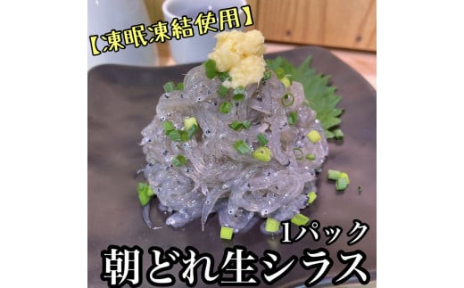 新鮮！朝どれ 生しらす 食べきり1パック【凍眠凍結使用】【 惣菜 お刺身 生食 日本酒 焼酎 お取り寄せ 希少部位 御中元 お中元 お歳暮 父の日 母の日 贈り物 】【家庭用 自宅用 贈答品 贈答用 ギフト 】【まぐろや 神奈川県小田原市早川】 142069_DQ002