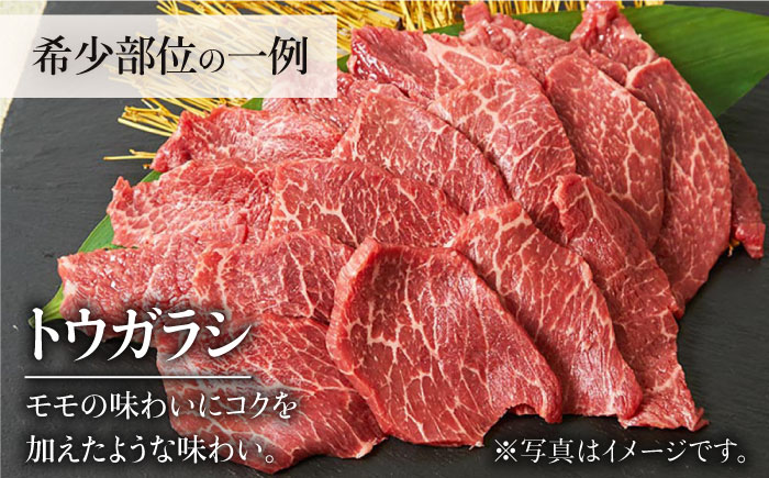 ＜6回定期便＞佐賀牛希少部位含む～ひとり贅沢焼肉コース～ ランプ/クリ/トウガラシ/ザブトン/カイノミなど【ミートフーズ華松】 [FAY072]