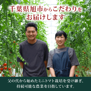 【訳あり】 ミニトマト 約1.5kg 常温配送 ＼2025年11月以降順次発送／