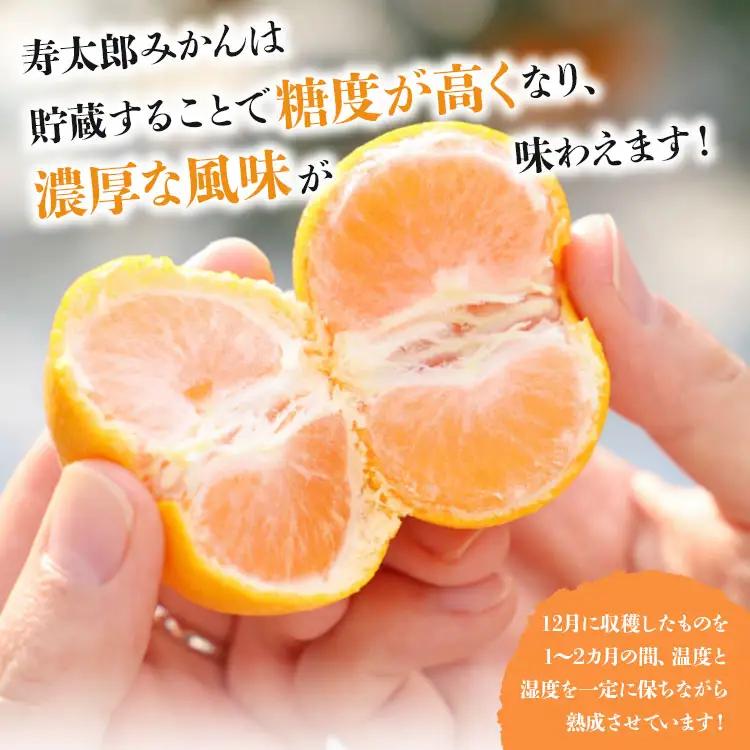 間城農園 甘い完熟みかん 寿太郎 (家庭用) 5kg【寿太郎みかん くだもの 柑橘 フルーツ】 ms-0087