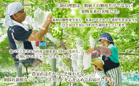 山形市産 シャインマスカット 秀1.5kg以上(2~3房)【前半】 FZ22-331