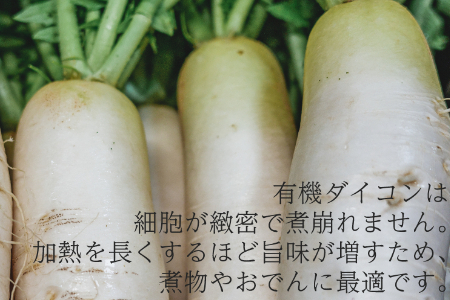 【フードロス対応・規格外】　有機大根　訳あり野菜を簡易包装にして増量　旬の時期（12月、1月、2月）のみ冬季限定発送 2141 だいこん　大根