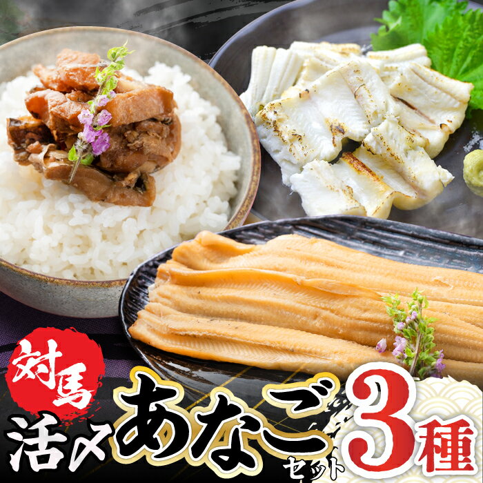 【ふるさと納税】【1週間以内発送】対馬 産 活〆 あなご セット《対馬市》【対馬地域商社】九州 長崎 煮あなご 佃煮 アナゴ [WAC001] スピード発送 最速発送 最短発送