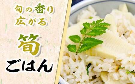 【先行受付】無添加たけのこ水煮 計1.5Kg(300g×5袋) 令和8年産 4月上旬から 熊本県 南関町産 春 新鮮 惣菜 小分け 和食 筍 タケノコ
