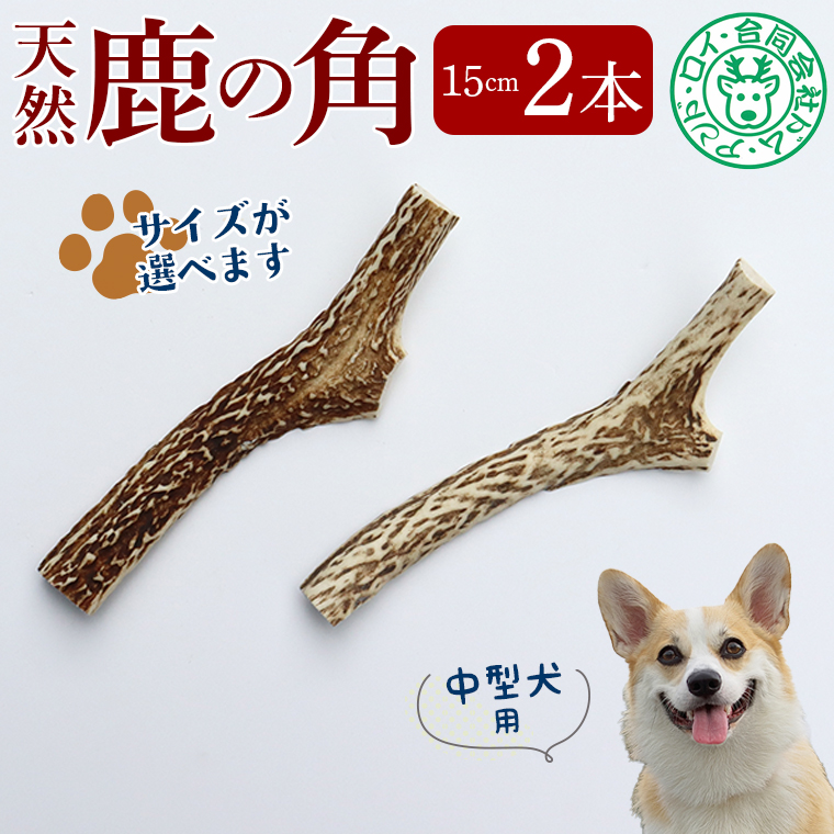 DL-12 【犬のおもちゃ】シカの角 15cm×2本　中型犬用