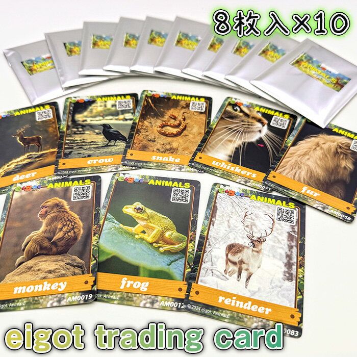 【ふるさと納税】英語学習 eigot trading card 80枚 | カード トレーディングカード 英語学習 英語 英単語 勉強 ゲーム 子供 大人 有限会社アイ電気 埼玉県 狭山市