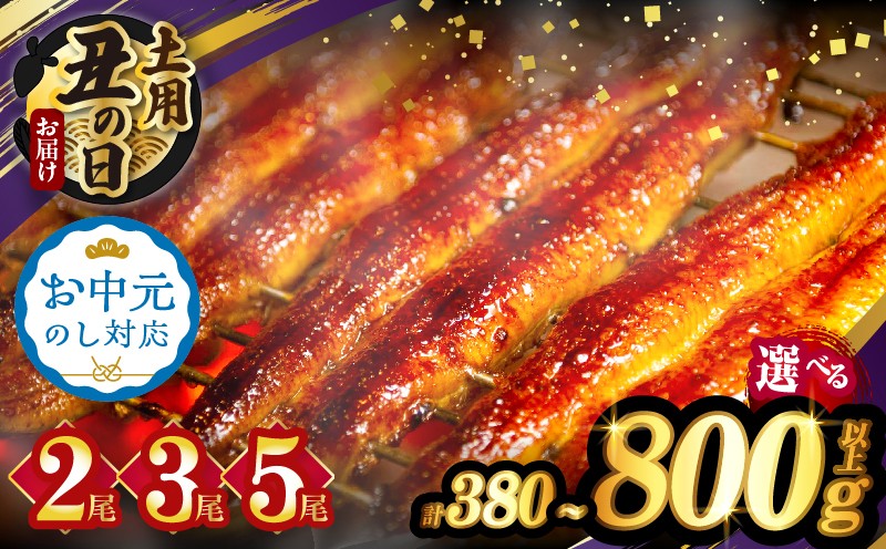 
                  【2週間以内発送・選べる内容量・夏の丑の日】うなぎ蒲焼2尾 3尾 5尾(さんしょう・たれ付き)計380g 600g 800g以上 お中元 鰻 魚 魚介 加工品 国産_T026-0036-SKU-C
                