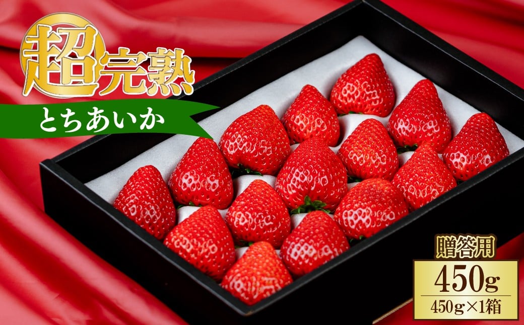 
            【先行受付：選べる発送月】いちご 小島さんちの完熟 とちあいか ギフト 約450g×1パック 合計 約450g | いちご イチゴ 苺 とちあいか 完熟 大粒 果物 フルーツ 贈答 ギフト くだもの あまい 甘い 産地直送 栃木県産 小島いちご園 栃木県 茂木町
          