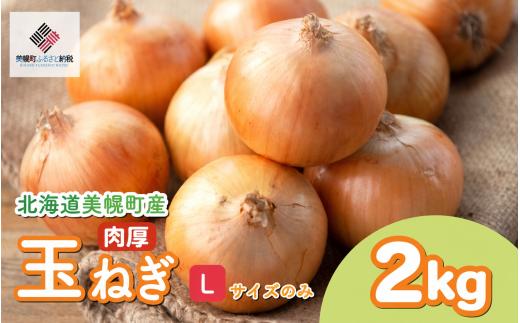 【2026年10月上旬以降発送】 美幌産 玉ねぎ Lサイズ 2kg 令和8年度産 / タマネギ たまねぎ 玉ネギ 玉葱 オニオン スライス サラダ 野菜 スープ 肉じゃが 煮物 ハンバーグ すりおろし 甘い カレー BBQ バーベキュー 新鮮 旬 国産 訳あり 北海道 美幌町 先行予約 送料無料 数量限定