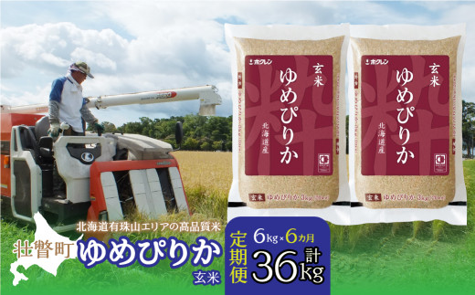 【令和6年産 6ヶ月定期配送】（玄米6kg）ホクレンゆめぴりか（3kg×2袋） 【 ふるさと納税 人気 おすすめ ランキング 北海道産 壮瞥 定期便 玄米 米 ゆめぴりか 炊き込みご飯 おにぎり おむすび こめ 贈り物 贈物 贈答 ギフト 大容量 詰合せ セット 北海道 壮瞥町 送料無料 】 SBTD075