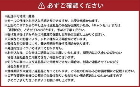 【訳あり】家庭用 シャインマスカット 摘み落とし 1.5kg以上【2026年9月上旬～10月上旬発送予定】果物 フルーツ くだもの マスカット ぶどう ブドウ 葡萄 ジューシー 甘い 濃厚 冷蔵