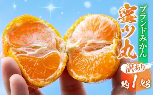≪先行予約≫こだわり蜜柑 蜜ツ丸 家庭用 バラ詰め 約1kg+痛み補償250g マルカワ園芸 みかん こだわりみかん おみかん屋 ミカン mikan 蜜柑