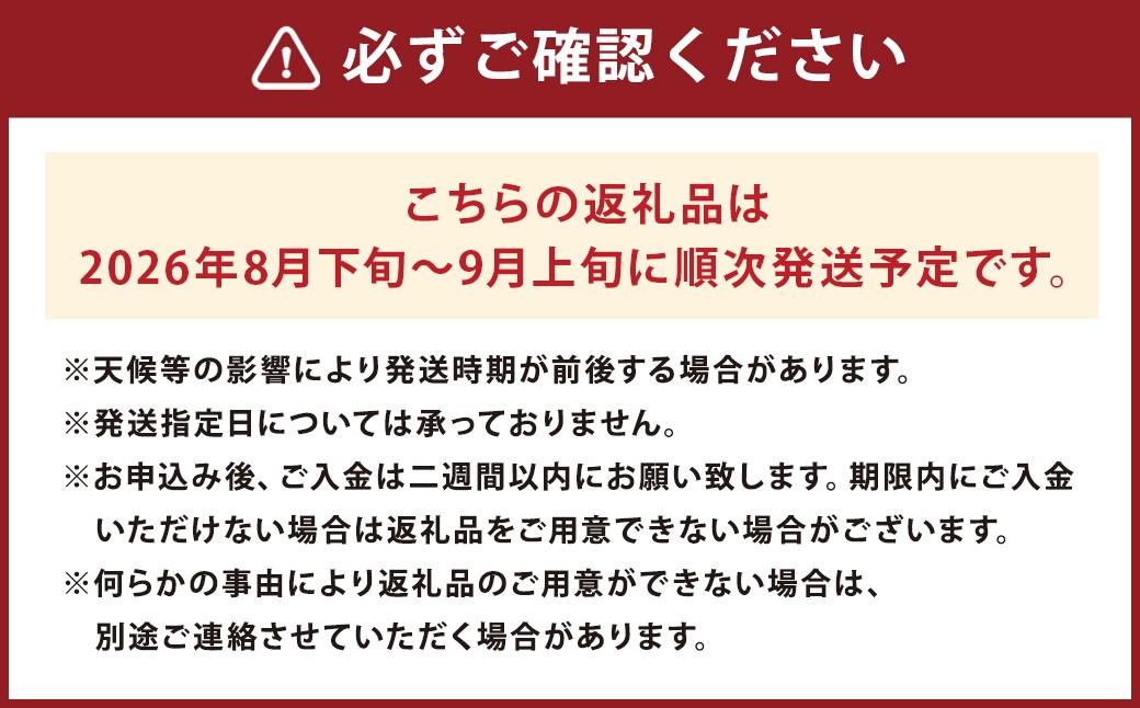 種あり巨峰 約2.5kg