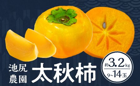 【2025年10月発送】池尻農園　太秋柿　9玉～14玉　約3.2kg_柿 甘柿 太秋柿 9玉 ～ 14玉 約 3.2kg 種が少ない 池尻農園 シャキシャキとした食感 さっぱり 多汁 高い糖度 国産 フルーツ 果物 福岡県 久留米市 お取り寄せ お取り寄せフルーツ 食品 食べ物 送料無料_Fk012