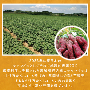 【2025年1月中旬より順次発送】熟成紅はるかの冷凍焼き芋約2kg＋おまかせ品種さつまいも　合計約2.2kg！(EY-5)