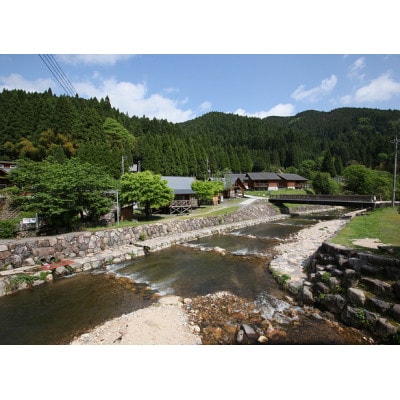 渓流釣り体験【ファミリー入場券】【1672833】